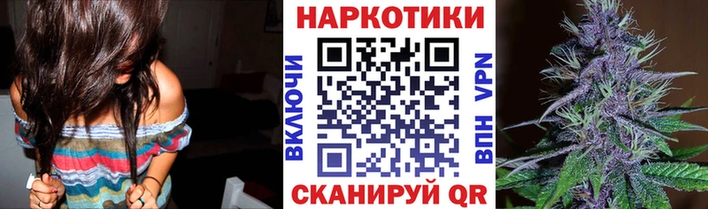 Купить наркотики сайты Тара Гашиш  Псилоцибиновые грибы  Меф мяу мяу  Конопля  APVP 