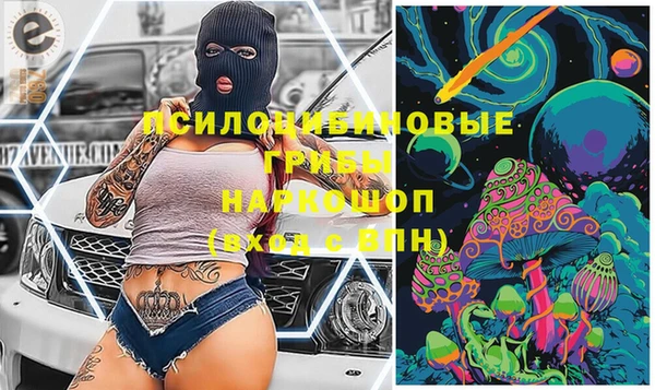 apvp Семилуки