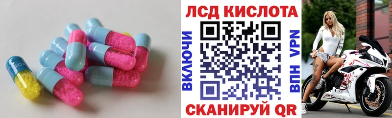 blacksprut ТОР Тара LSD-25 экстази кислота