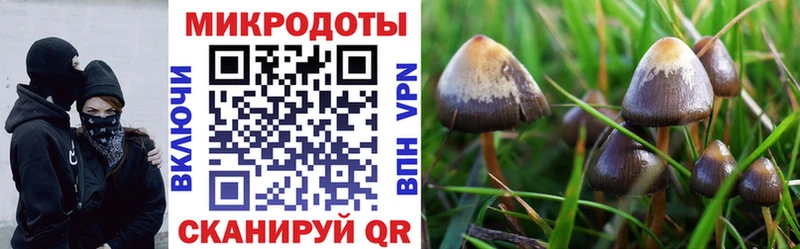 кракен ссылки  Тара  Псилоцибиновые грибы Magic Shrooms 