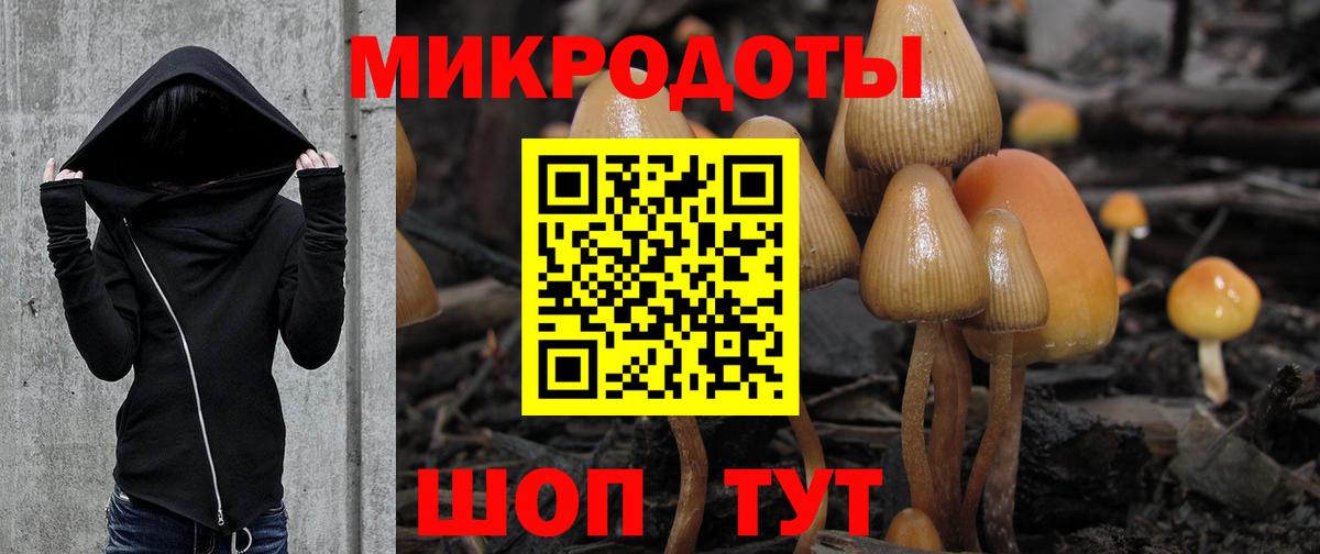 Галлюциногенные грибы GOLDEN TEACHER Тара