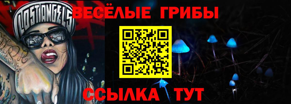 Тара  Галлюциногенные грибы прущие грибы  где купить наркоту  Вход с VPN 