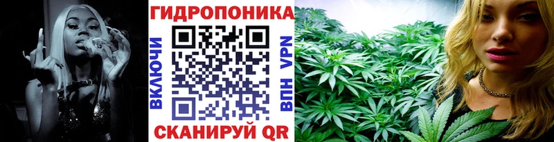 МАРИХУАНА планчик  дарк нет наркотические препараты  Тара 